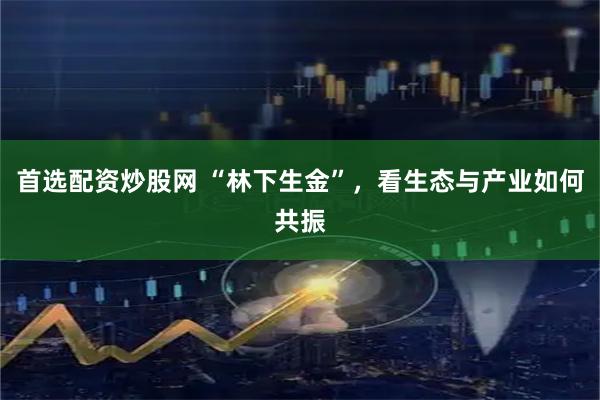 首选配资炒股网 “林下生金”，看生态与产业如何共振